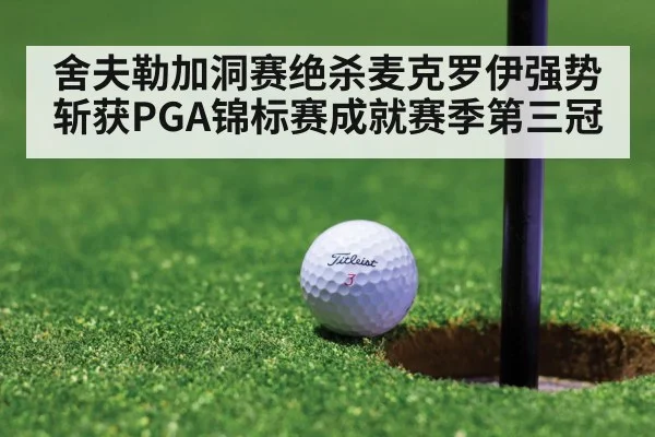 舍夫勒加洞赛绝杀麦克罗伊强势斩获PGA锦标赛成就赛季第三冠