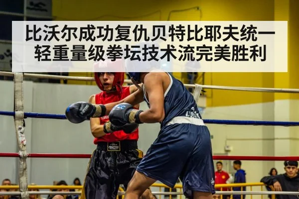 比沃尔成功复仇贝特比耶夫统一轻重量级拳坛技术流完美胜利